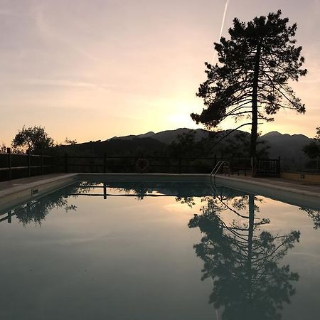 Agriturismo Il Pino San Martino in Freddana Bagian luar foto