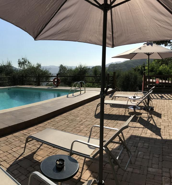 Agriturismo Il Pino San Martino in Freddana Bagian luar foto