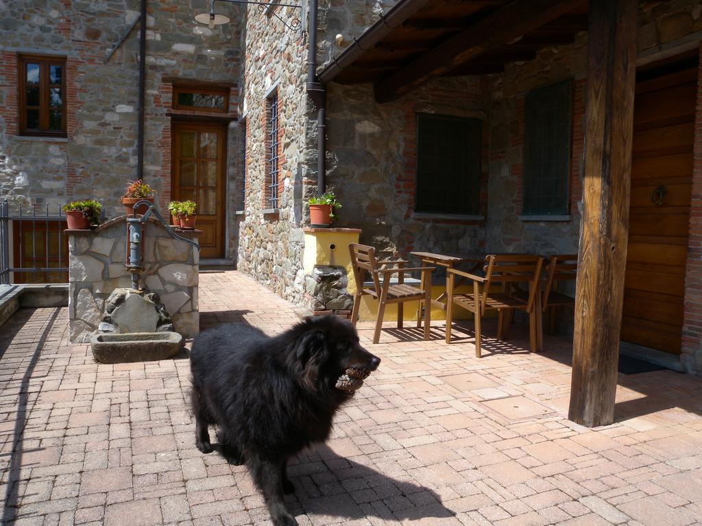 Agriturismo Il Pino San Martino in Freddana Bagian luar foto